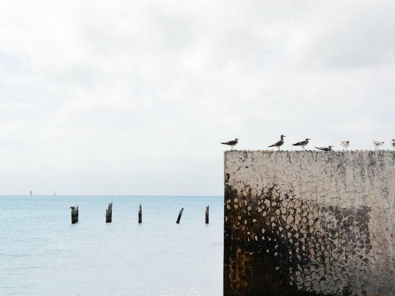 Labor Shortages Drive New L-1 Visa Expediting